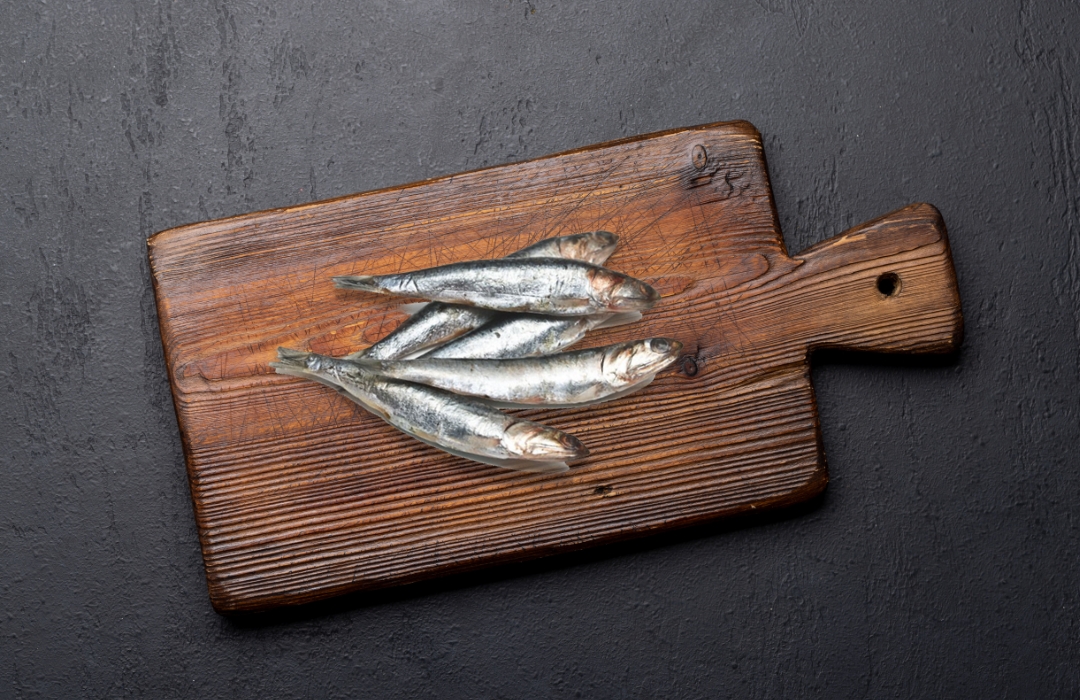 Anchova